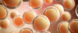 Tratamiento para donar óvulos