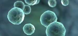 Pasos para donar óvulos